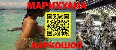 сатива Тулун