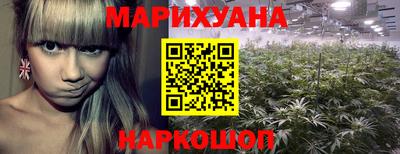 сатива Тулун