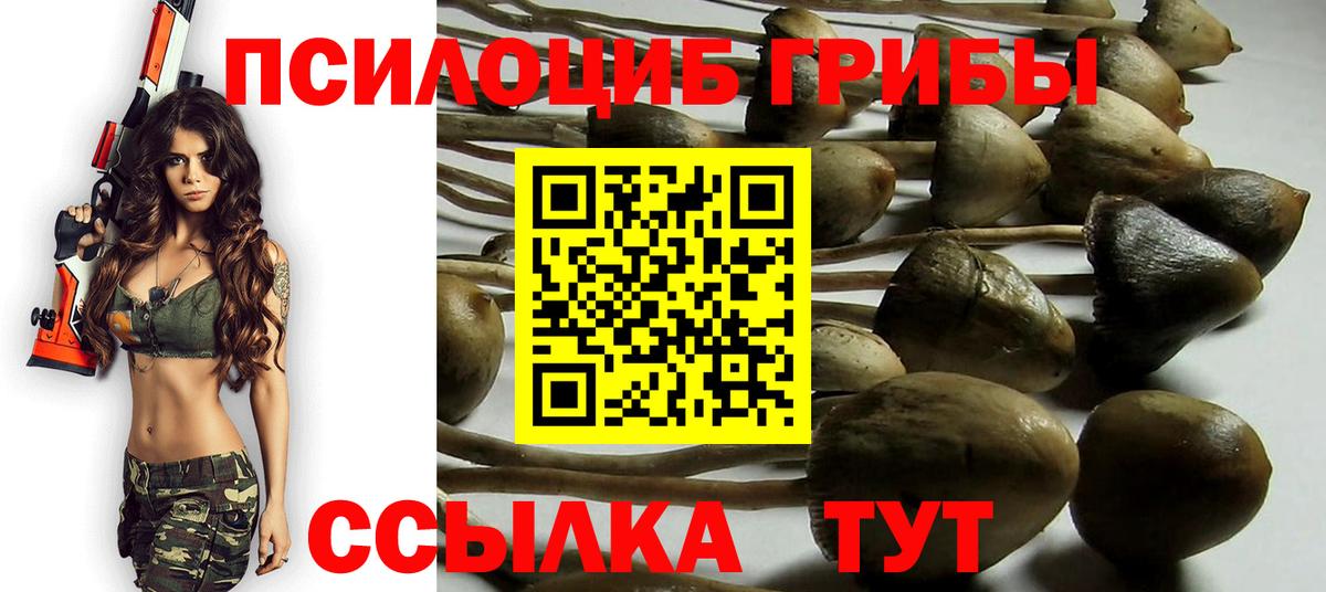 Псилоцибиновые грибы ЛСД  купить наркотики цена  Вход с VPN  Асбест  Галлюциногенные грибы ЛСД 