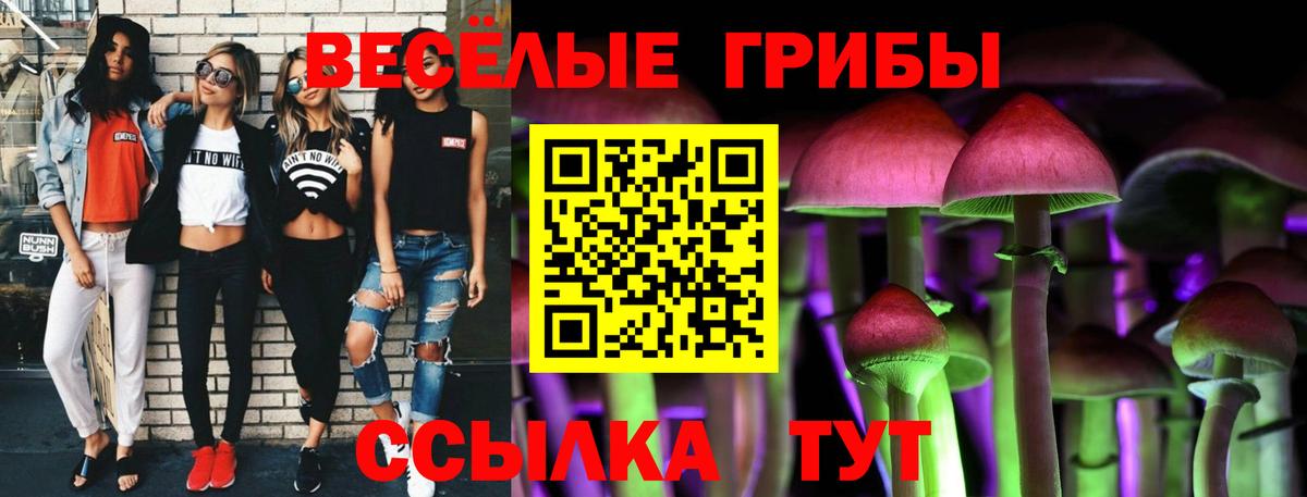 Псилоцибиновые грибы прущие грибы Асбест